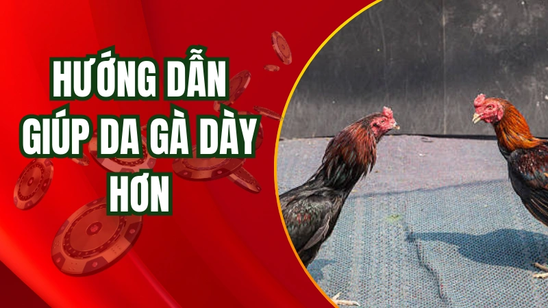 Hướng dẫn các cách làm da gà dày chuẩn nhất