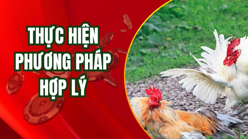 Thực hiện phương pháp hợp lý sẽ không làm tổn thương chiến kê của bạn