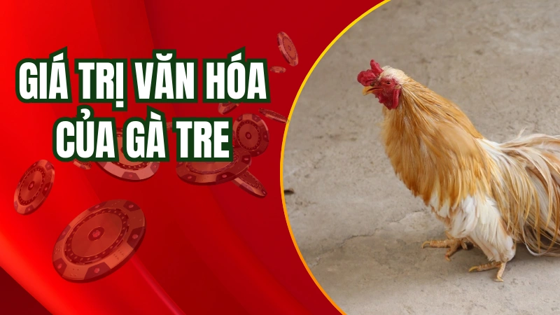 Giá trị văn hóa của giống gà tre