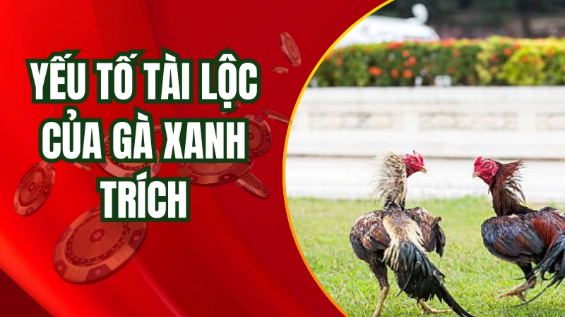 Gà xanh trích mang trong mình yếu tố tài lộc