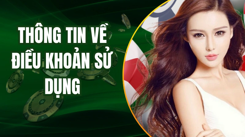 Thông tin về điều khoản sử dụng tại AE888