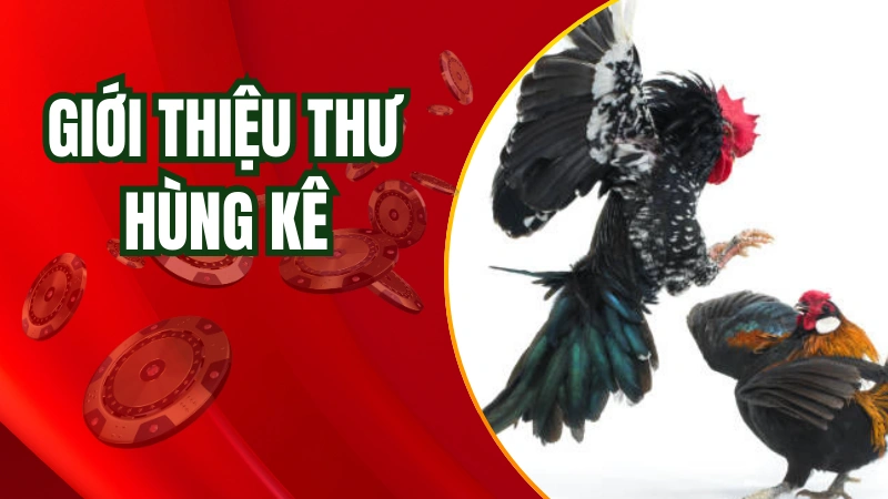 Thế nào là một thư hùng kê?