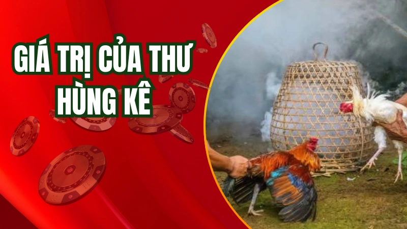 Giá trị của thư hùng kê là cực kỳ lớn