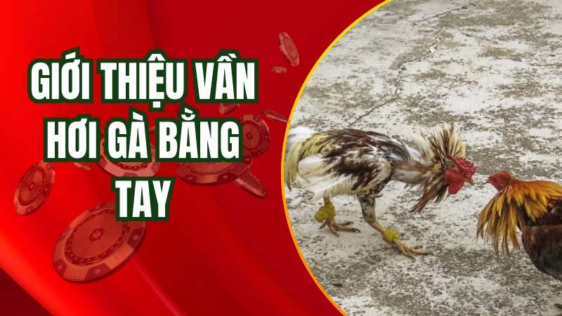 Giới thiệu về phương pháp vần hơi gà bằng tay